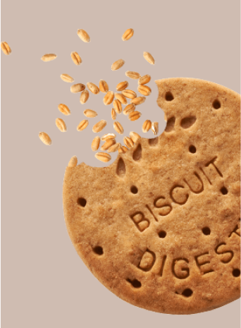 cthe fit biscuit